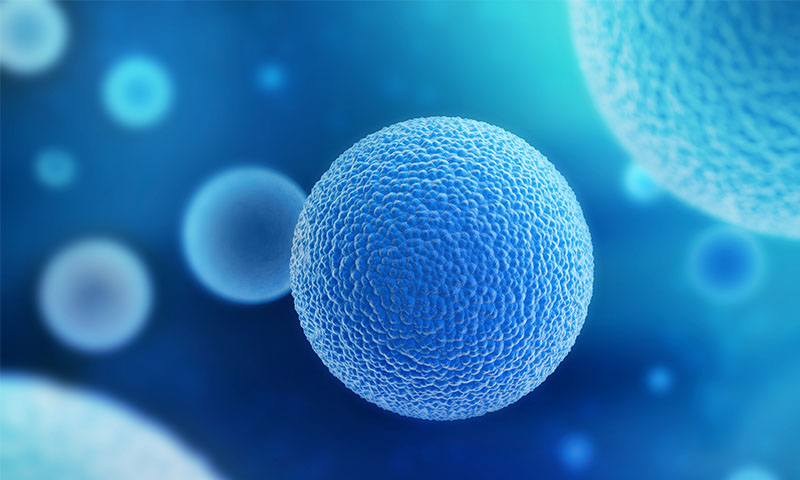 精准模拟人类病理：东极生物复杂疾病动物模型构建与应用解析